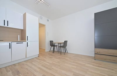 Vermietung eines hellen Studios, 28 m², Bezirk Staré Mesto, Bratislava, Slowakei